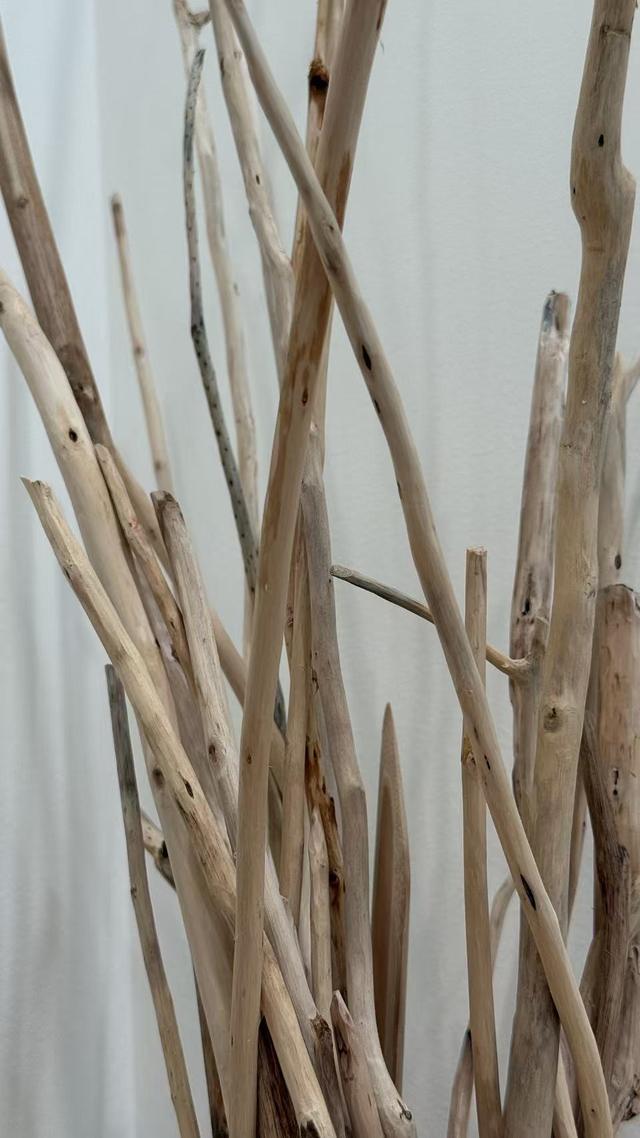 Close-up of peeled sticks in different colors and grains